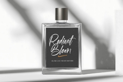 Blazking - Bold Brush Font Product Image 16