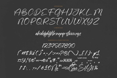 Blazking - Bold Brush Font Product Image 18