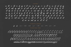Blazking - Bold Brush Font Product Image 19