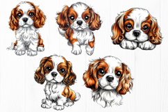 Cavalier King Charles Spaniel Clipart Bundle | 20 PNG Dogs Product Image 5