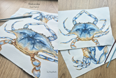 Watercolor Blue Crab Life Cycle Set Bundle Product Image 7