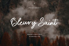 Bleury Saint - Modern Script Font Product Image 1