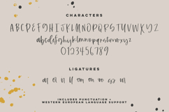 Blindside Script Product Image 10