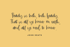 Blindside Script Product Image 4