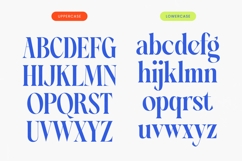 Blinky Kalmie - Modern Alternate Serif Product Image 17