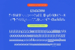 Blinky Kalmie - Modern Alternate Serif Product Image 18