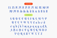 Blinky Kalmie - Modern Alternate Serif Product Image 19