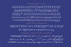 Blissful Pedals - Quirky Handwritten Font Product Image 18