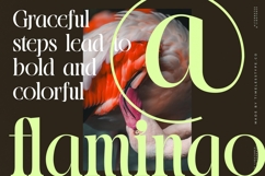 Blistega - New Bold Tall Serif Font Product Image 2