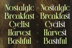 Blistega - New Bold Tall Serif Font Product Image 5