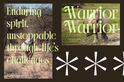 Blistega - New Bold Tall Serif Font Product Image 7