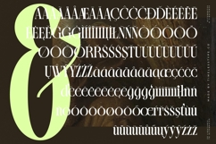 Blistega - New Bold Tall Serif Font Product Image 10