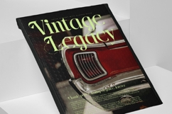 Blistega - New Bold Tall Serif Font Product Image 11