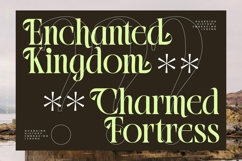 Blistega - New Bold Tall Serif Font Product Image 13