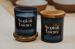 Blistega - New Bold Tall Serif Font Product Image 14