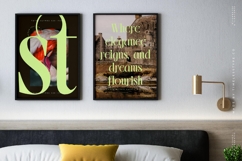 Blistega - New Bold Tall Serif Font Product Image 16