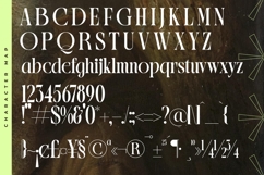 Blistega - New Bold Tall Serif Font Product Image 18