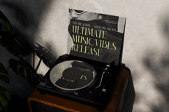 Blonare Luxury High Contrast Serif Product Image 4