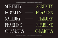 Blonare Luxury High Contrast Serif Product Image 12
