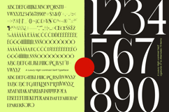 Blonare Luxury High Contrast Serif Product Image 13