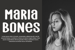 Blondie Series Product Image 6