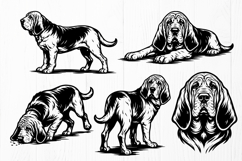 Bloodhound SVG Bundle | 15 Bloodhound Hunting Dog Designs Product Image 4