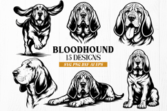 Bloodhound SVG Bundle | 15 Bloodhound Hunting Dog Designs Product Image 1
