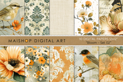 Orange Botanicals and Vintage Birds Digital Paper Pack Product Image 1
