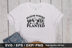 Bloom where you are planted SVG - Motivational Design Product Image 1