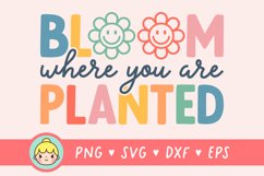 Bloom Where You Are Planted SVG Files for Cricut | Quote SVG Product Image 1