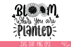 Bloom where you are planted SVG Quote | Sunflower SVG Quotes Product Image 2