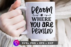 creativecutssvg,creativeapplique,scrapbooking clipart,vinyl decal design,svg vector file,svg cutting file,digital word art,girl sayings svg,girl quotes svg,bloom where planted,spring svg,spring cut file,inspirational svg