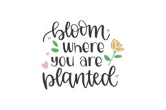Bloom Where You Are Planted SVG Cut File Product Image 1