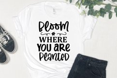 Wildflower png,Boho png designs,Boho Sublimation,Sublimation download,boho floral png,Sublimation Design,modern boho design,Boho Sublimation Png,Retro Flower Png,Boho Flowers Png,Bloom Where,You are Planted,vintage grunge