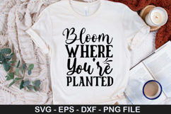 Bloom Where You re Planted SVG - Spring Quotes Design Product Image 1