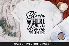 Bloom Where You re Planted SVG - Spring Quotes Design Product Image 1