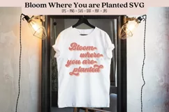 bloom where youre planted spring quotes png svg vectors with transparent background high resolution for cricut silhouette and sublimation machine