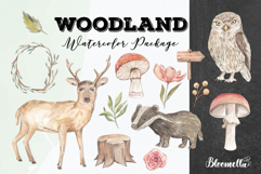 Watercolour Forest Deer Owl Foliage Mushrooms Clipart Product Image 1