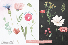 Wildflower Watercolour Florals Patterns Flowers Spring Poppy Product Image 6
