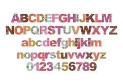 Bloomeria Color Font Product Image 2