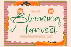 Blooming Harvest - Modern Handwritten Font Product Image 1