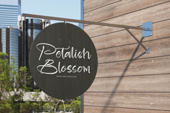 Blooming Harvest - Modern Handwritten Font Product Image 14