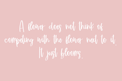 Bloomish Script Product Image 2