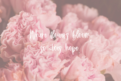 Bloomish Script Product Image 9