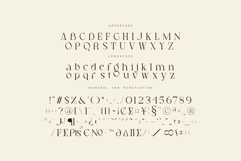 Blore - Elegant Serif Font Product Image 12