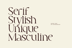 Blore - Elegant Serif Font Product Image 4