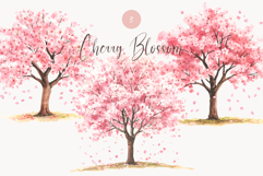 Cherry Blossom Tree Clipart Set 3 Watercolor Sakura Trees Product Image 1