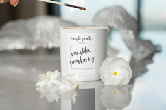 Blossom Breeze Script Font Product Image 8