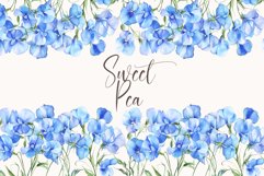Sweet Pea Floral - Watercolor Floral Clipart Product Image 1