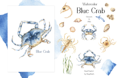 Watercolor Blue Crab Life Cycle Set Bundle Product Image 3